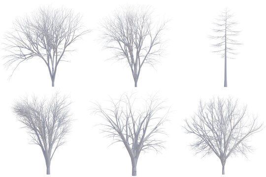 Tree branch White color.dry tree isolated on white background. Clipping Path.3D rendering