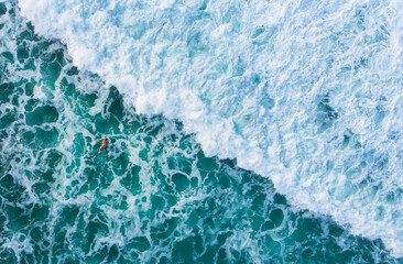 Fototapeta premium the surfer in the blue ocean