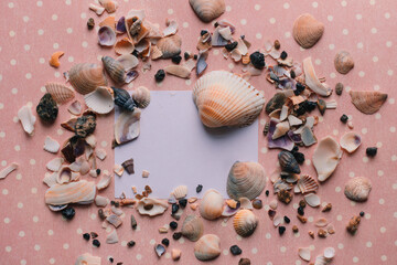 pebbles seashells on pink background and white sticker top view