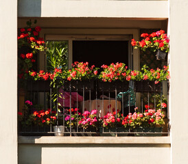 Fototapeta na wymiar Senior couple (unrecognizable) play dice at balcony pretty decorated with geranium flowers at sunset. People leisure during lockdown in Paris, France. Elderly wellbeing, seniors lifestyle concepts.