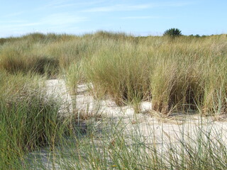 Sandy beach and blue sky over Baltic coast.