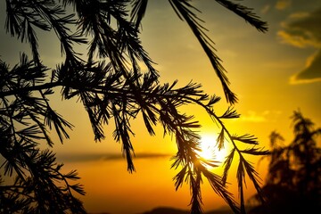 Sunset landscape from mountain top. 