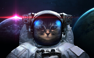 Cat astronaut in space © Vadimsadovski