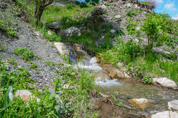 A stream in a mountainous area. Kurtatinsky gorge, Republic of North Ossetia-Alania, Caucasus, Russia.