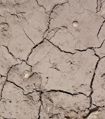 the texture of the earth, pure land, flower pot with soil. background with pot
