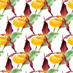 Orchid watercolor illustrations isolated on white background. Seamless pattern with colorful orchid.