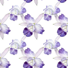 Orchid watercolor illustrations isolated on white background. Seamless pattern with colorful flowers.