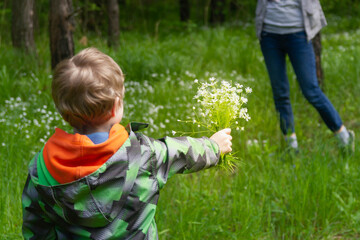 A European boy is holding a bouquet of white forest flowers. A child gives a bouquet to his beloved mother for a holiday.