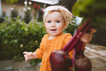 Child girl giving organic beet healthy food vegan eating lifestyle eco bio vegetables from garden home grown plant based diet nutrition