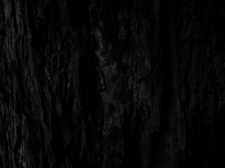 Dark wood backgroud. Black nature. Can be use for your design, advertising, backdrop, product display or montage. copy space