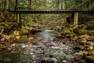 Obraz premium Pequeño y viejo puente de madera cruzando un río en medio de un bosque.
