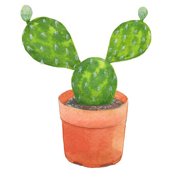 Cactus painting watercolor on paper