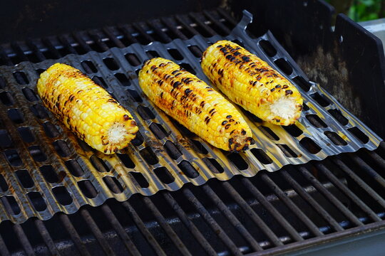 Grilling corn on the cob on a barbecue