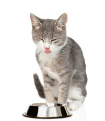 Satisfied cat licks lips after delicious food. isolated on white background