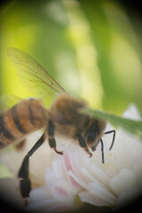 bzzz