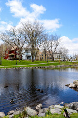 Fototapeta premium Winter trees and colorful painted houses along shore of water in Sydney, Nova Scotia. 