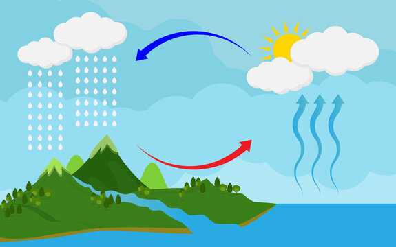 New diagrams depict an alternate view of how humans impact water cycle -  The Week