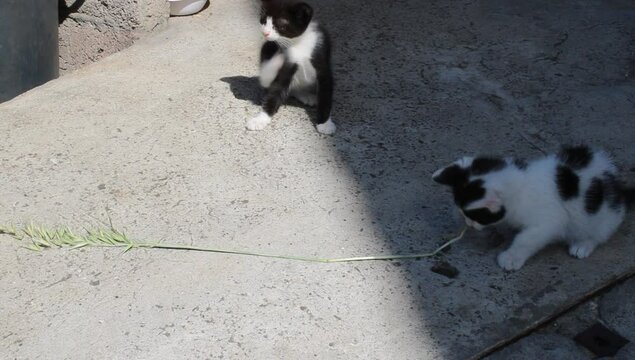 Dos hermanitos jugando 