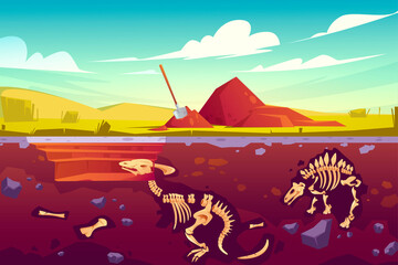 Fossil dinosaurs excavation, paleontology and archeology works. Vector cartoon illustration of landscape with pill of soil, shovel, buried skeletons of prehistoric reptiles underground © klyaksun