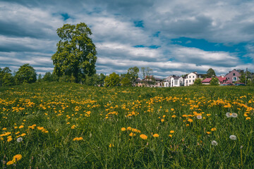 Beautiful summer countryside landscape with a green meadow, a la