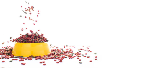 Dried dog food falls into the yellow plastic bowl on white background. grain pet food banner background.