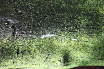 colorful houses in New York City west village manhattan