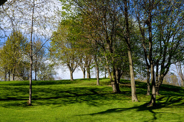Rolling grassy hill and trees in Battlefields Park with a view overlooking Quebec, Canada.