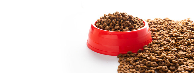 plastic bowl full with dry dog food isolated on white background. Top view grain pet food with copy space of text design. Above or Top view. food texture banner..