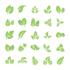Leaf Flat Icon Pack 