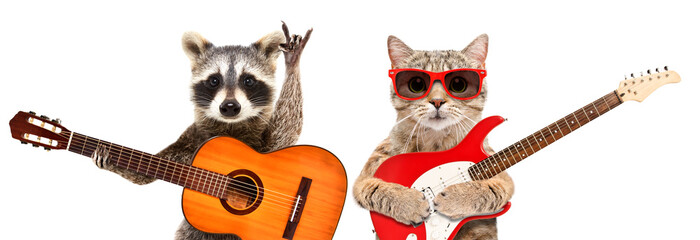 Portrait of raccoon and cat in sunglasses with guitars isolated on white background