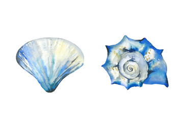 Abstract blue seashell set. Ocean creatures collection. Watercolour illustration isolated on white background.