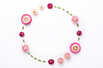 Flower composition. Eucalyptus leaves and dry flowers on white background. Flat lay. Top view. Copy space