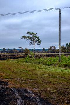 Fire at Thursley Common nature reserve.