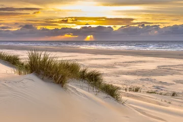 Door stickers North sea, Netherlands View from dune top over North Sea