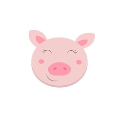 cute pig on white background vector, illustration