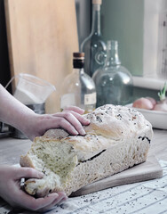 food photography of female hands break off a piece of freshly baked homemade bread in a Provence-style kitchen interior in daylight