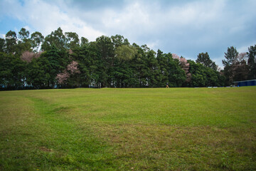 Famous 18 Hole Shillong Golf Course, situated in the East Khasi Hills district in Meghalaya, oldest natural golf course
