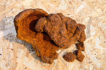 peeled wild birch chaga mushroom for brewing natural fungus tea on a wooden surface