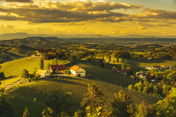 Naklejka premium Sunset over South Styria vineyard landscape in Steiermark, Austria.
