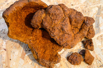 peeled wild birch chaga mushroom for brewing natural fungus tea on a wooden surface