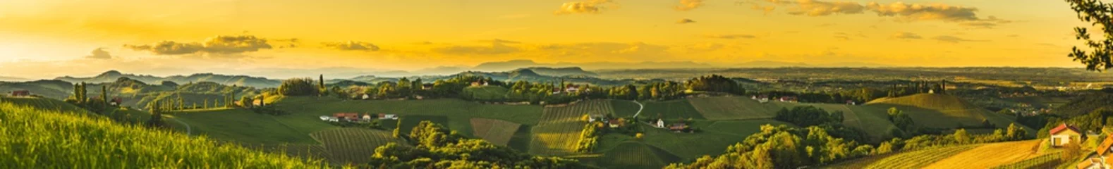 Tuinposter Panoramazonsondergang over de wijngaardlandschap van Zuid-Stiermarken in Steiermark, Oostenrijk. © Przemyslaw Iciak