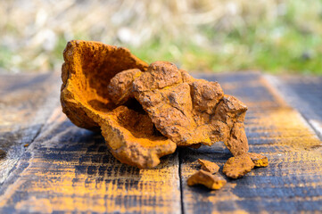 peeled wild birch chaga mushroom for brewing natural fungus tea on a wooden surface