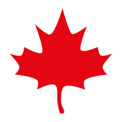 Isolated autumn red maple leaf vector design