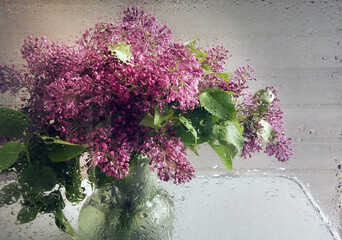 Lilac-coloured flowers in a glass transparent vase stand on the table behind the glass in drops of summer rain                         