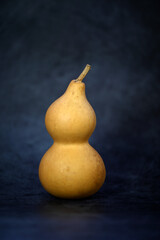 Gourds on a black background