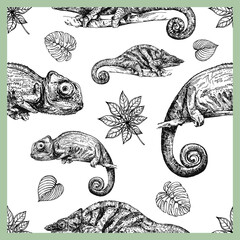Seamless pattern of hand drawn sketch style chameleons and plants isolated on white background. Vector illustration.
