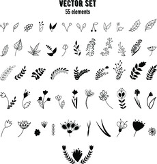 Set of vector illustrations. Doodles. Black and white, monochrome floral elements. Hand drawn flowers. Botanical illustration.