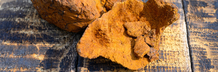 peeled wild birch chaga mushroom for brewing natural fungus tea on a wooden surface. banner