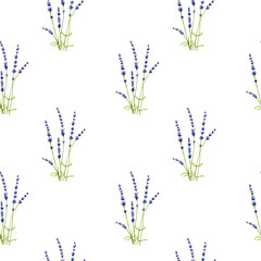 Watercolor seamless pattern of lavender on a white background. 