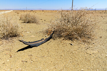 Piece of old tire in a dry bush alongside a desert road on a hot sunny day with telephone poles in background